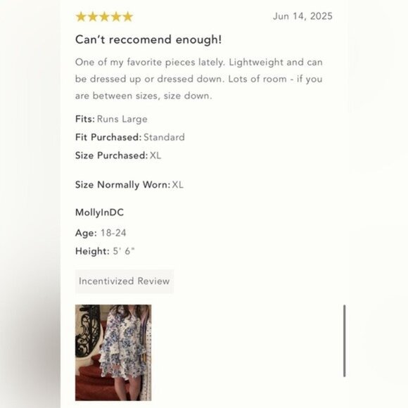 NWT Size M - Anthropologie Blue Floral Mini Swing Dress (NWT US$ 168) - Picture 10 of 16